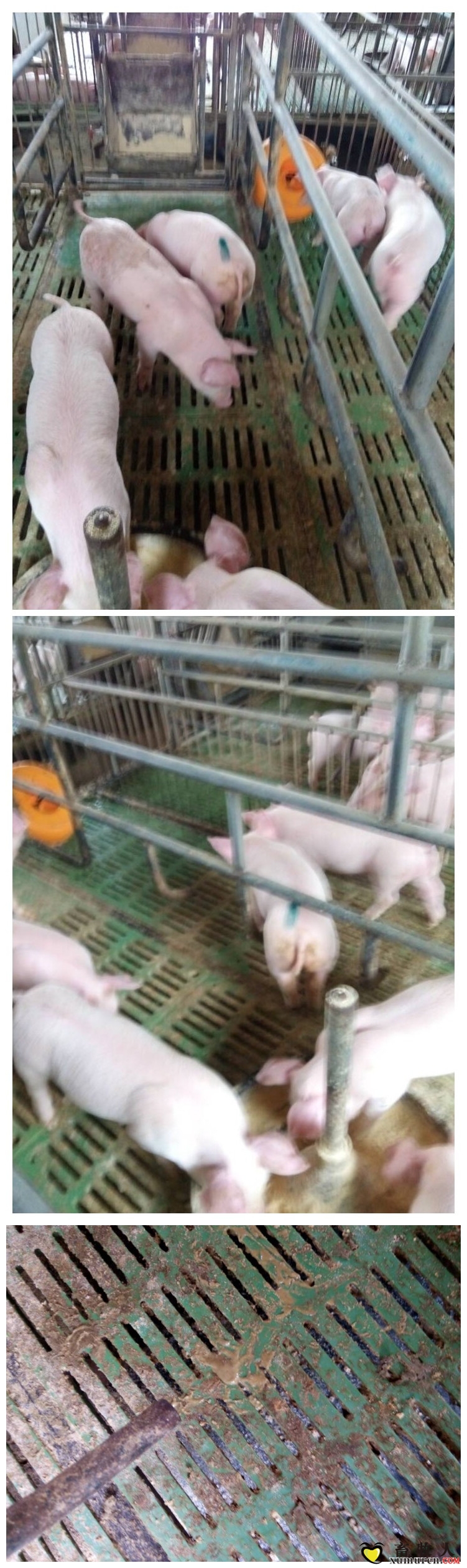 initpintu_副本.jpg