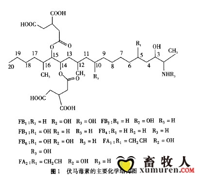 伏马毒素的主要化学结构图