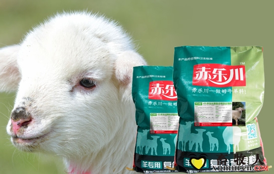 羔羊预混料牌子