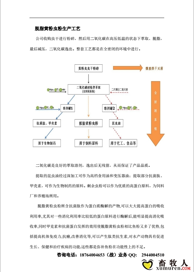 脱脂黄粉虫粉5.jpg