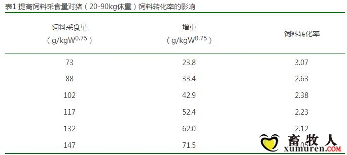 老外11.jpg