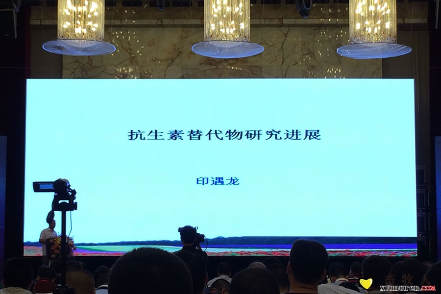 中国科学院亚热带农业生态研究所印遇龙院士演讲.jpg