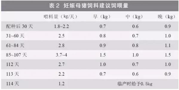 提升母猪年生产力的6大关键措施，想多生就得这么干