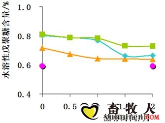 玉米15.jpg