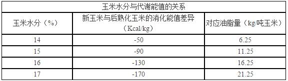 玉米16.jpg