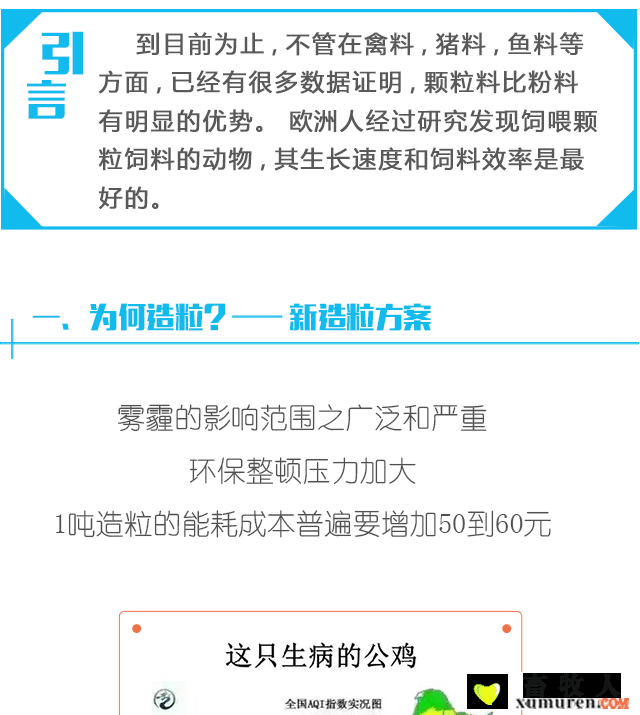 清洁营养方案5_01.png