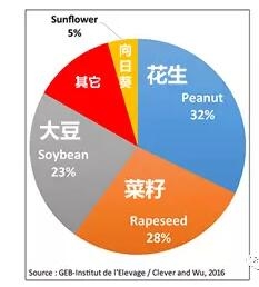 美国人口世界第几_美国人口普查局 老龄化世界 2015 报告 Useit 知识库(3)