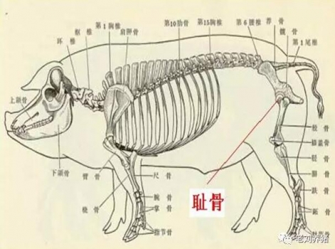 QQ截图20170504091629.jpg