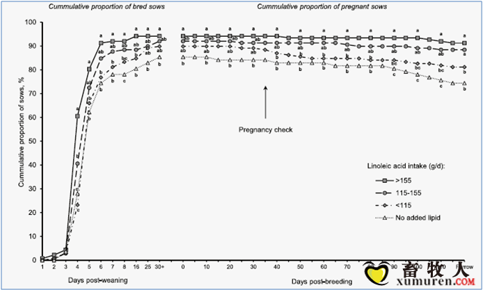 亚油酸的摄入量与母猪的生产性能，3-5胎次的连续试验结果