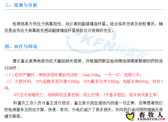 3_副本.png