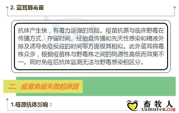 2_副本.jpg