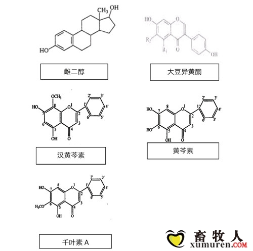 initpintu_副本89.jpg