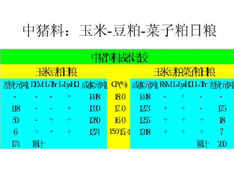 幻灯片09.PNG