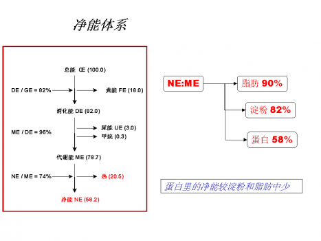 幻灯片25.PNG