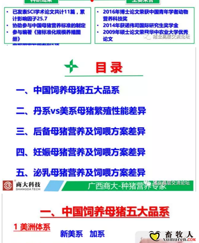 丹系VS美系母猪营养及饲喂差异_02.png