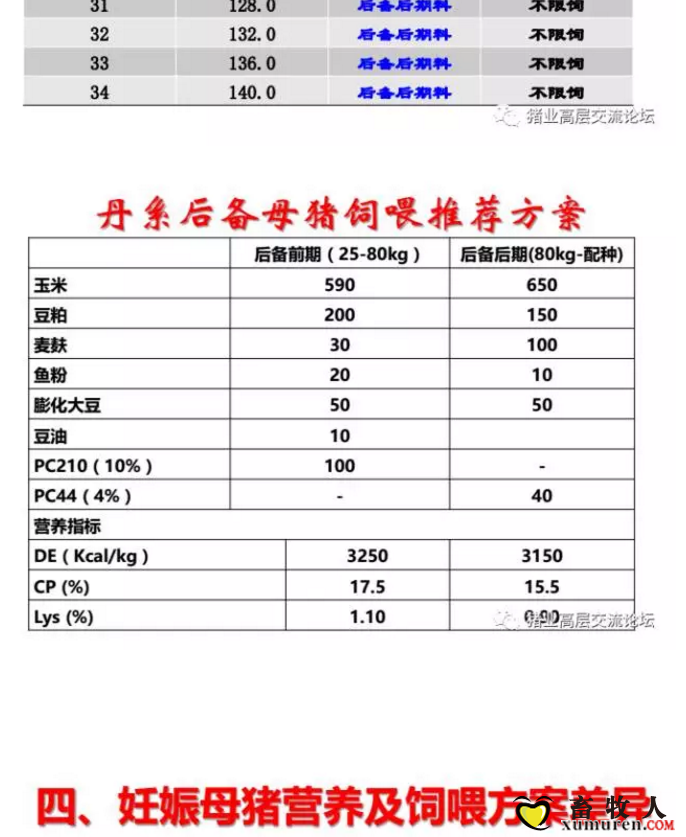 丹系VS美系母猪营养及饲喂差异_19.png