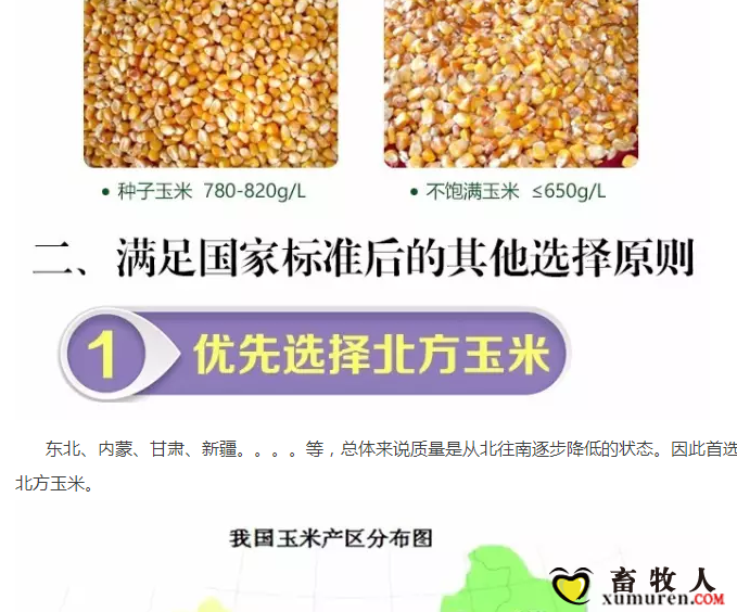 必须知道的什么样的玉米喂猪最好_03.png