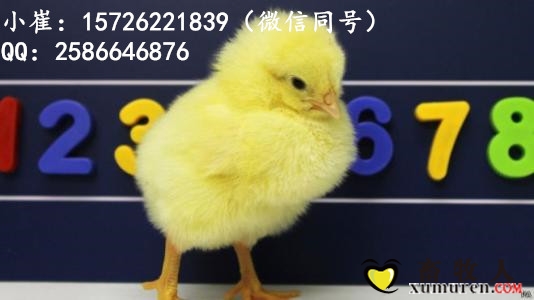 u=3362147488,3448931911&amp;fm=27&amp;gp=0_副本.jpg