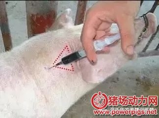 无针注射疫苗。减少疫苗损耗