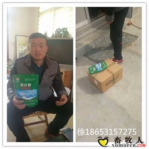 648153718814900199_副本.jpg