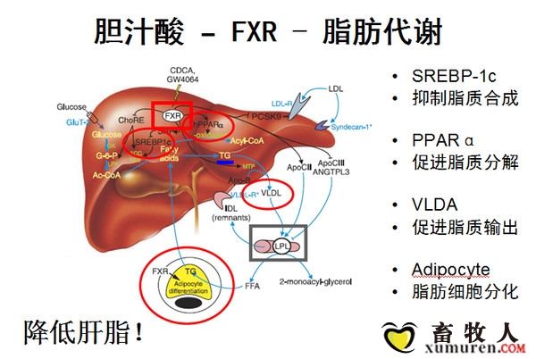 微信图片_20181012090120.jpg