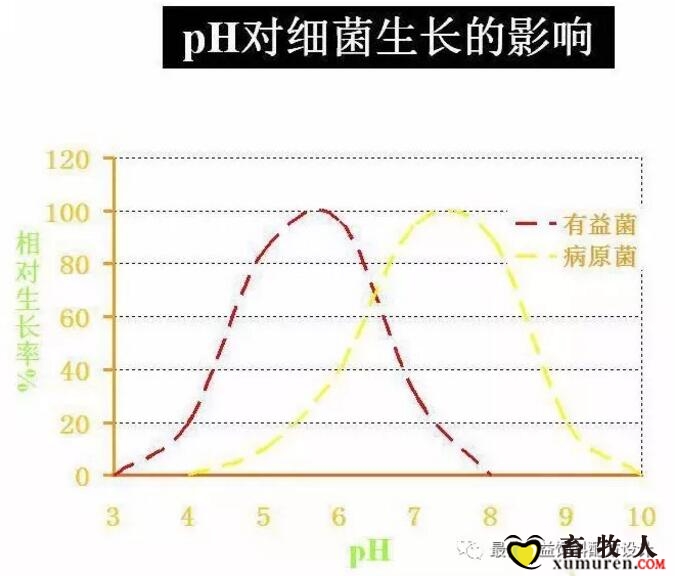 并且断奶日龄越小(17天断奶,恢复到正常值的时间也越长(3周(4)胃酸