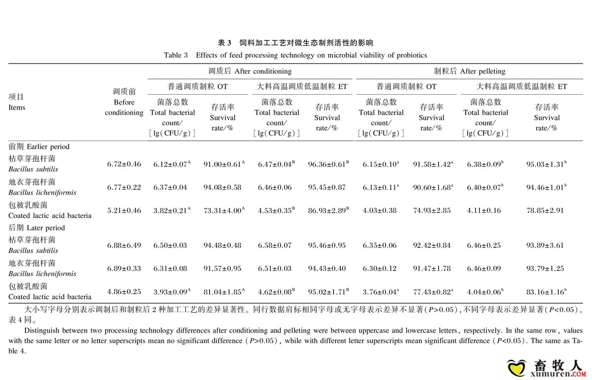 表3.jpg