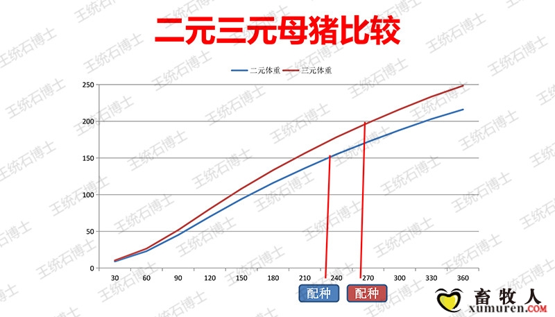 三元母猪的饲喂模式_20200413092704-7.jpg