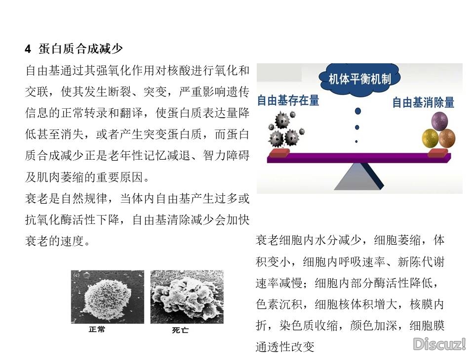 幻灯片17.JPG