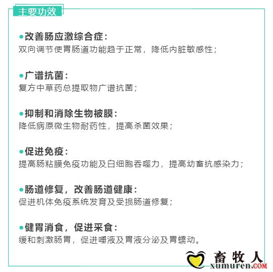 优福康（复方中草药提取物）—-养好猪，用优福康！广东药科大学与广东雅琪生物科技股.jpg