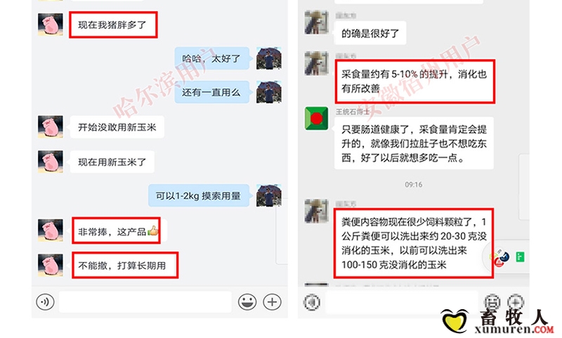 肠利泰（麦克表单）_15.jpg