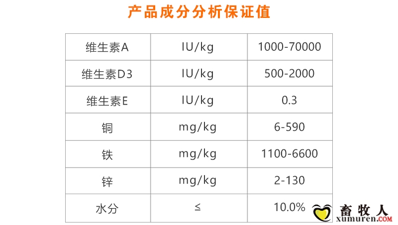 肠舒安_04.jpg