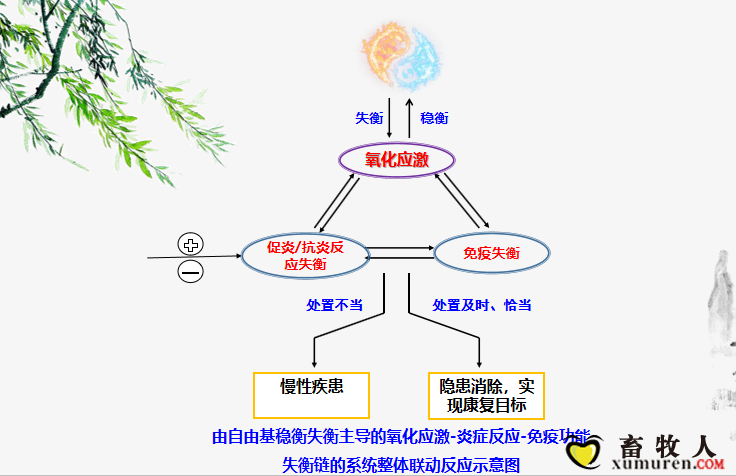 联动反应示意图.png