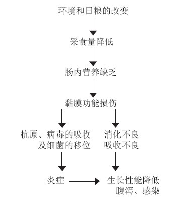 营养繁殖的原理_树木营养繁殖原理和技术(2)