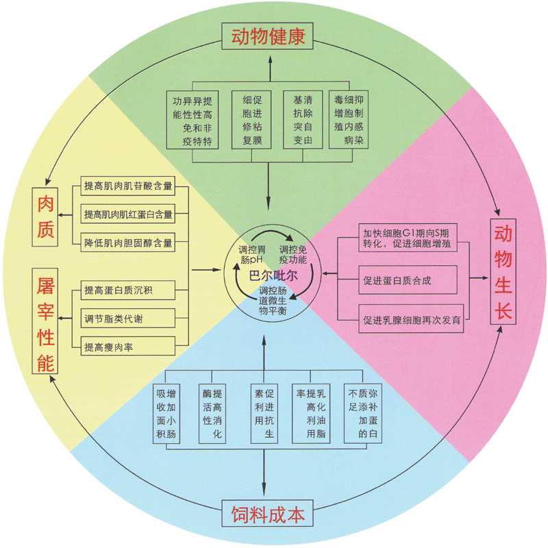 巴尔麦氏  北京金娜尔生物技术有限公司