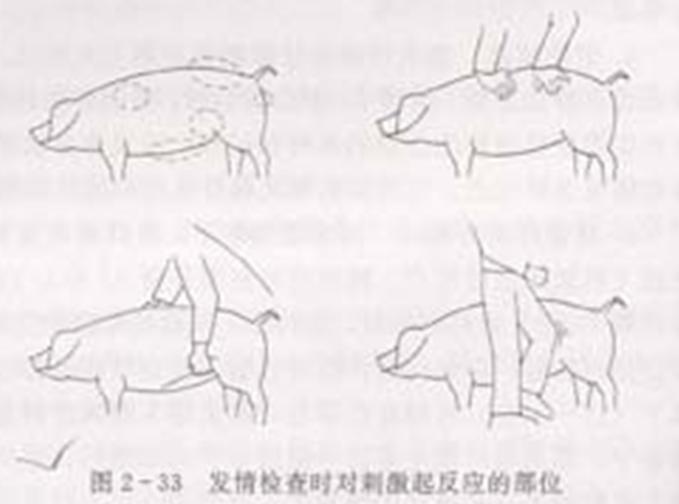 人口授精痛苦吗_人口普查(2)