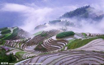 替米考星溶液对副猪嗜血杆菌病的疗效验证

(来源：中国农业新闻网)