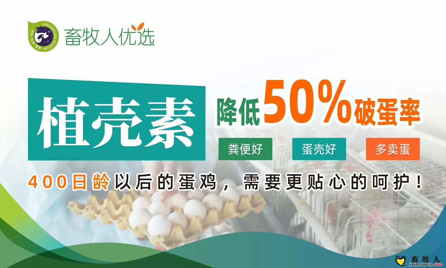 纷享20250428101800- 7.jpg