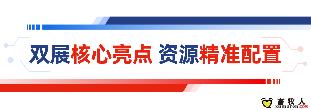 qw9.jpg